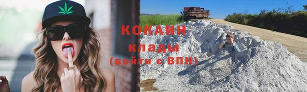 МДПВ Нея