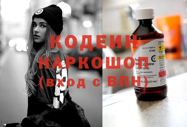 МДПВ Нея