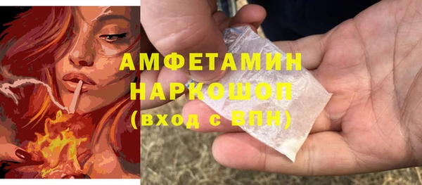 МДПВ Нея